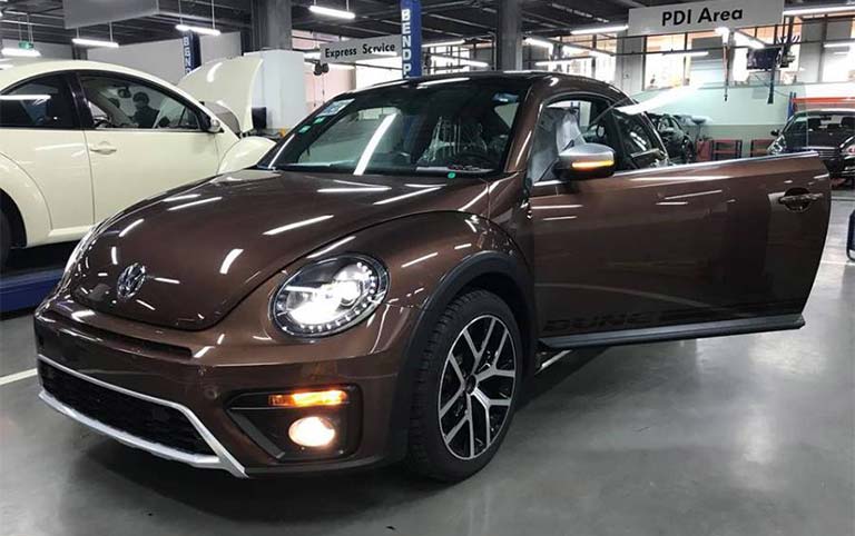 beetle dune 1
