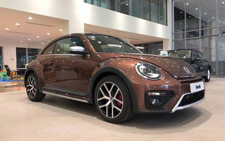 beetle dune 4