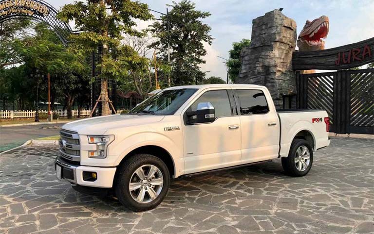ford f 150 1